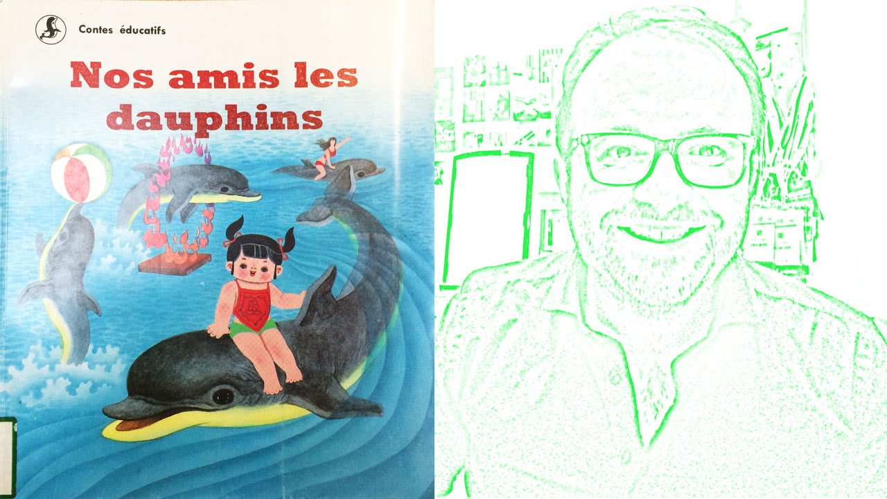 Nos amis les dauphins | Conte éducatif pour enfants - YouTube