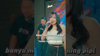 Pengen Tak Antem Watu Lili Amora  fypage