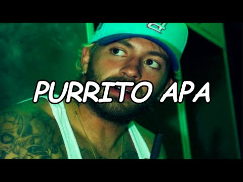 Feid, ICON - PURRITO APA (Official Video Lyric)