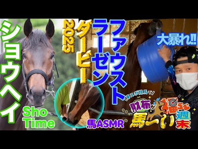 日本ダービー2025】ショウヘイ/ファウストラーゼン陣営直撃