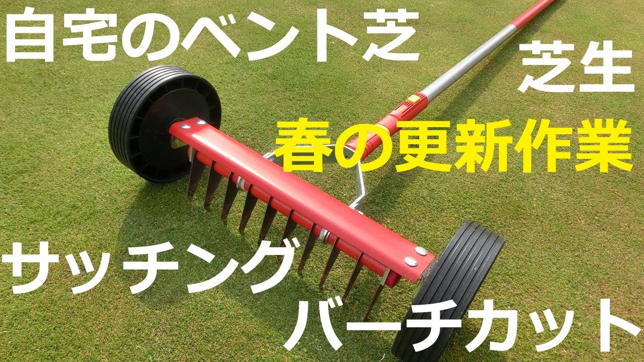 自宅ベント芝 春の更新作業その１ 手動でバーチカット サッチング Youtube
