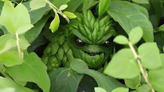 The Mint Invasion Situation