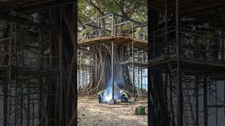Escape to Paradise: Your Ultimate Luxury Beachfront Banyan Treehouse Tour🤯