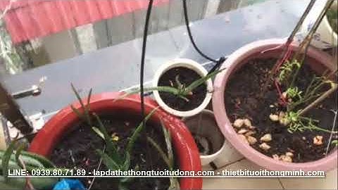 Lắp đặt hệ thống tưới tự động phun sương cho lan, nhỏ giọt cây cảnh hoa hồng ban công nhà phố tphcm