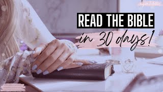 Are you thinking of reading the bible in 30 days?  Watch this first! 30 day Bible reading challenge