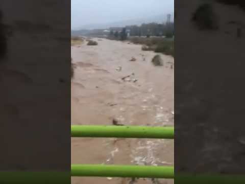     سيل امسال در رودخانه خشك شيراز