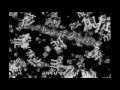 UTAU Cover Paradichlorobeneze 파라디클로로벤젠 STAL UTAU Cover Paradichlorobeneze 파라디클로로벤젠 STAL