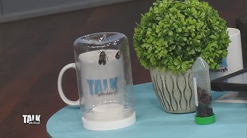 A new project hoping to learn more about spotted lanternflies