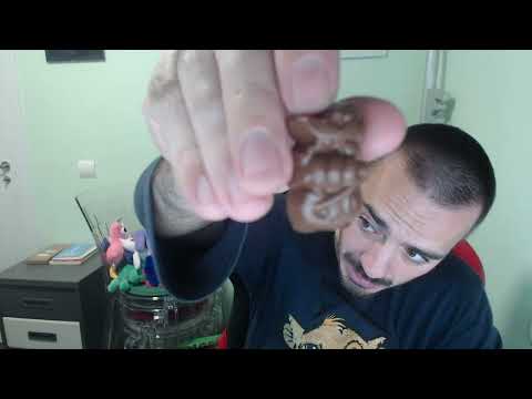 Chocolate Nestle Jungle - Calendario de Adviento 2025 - 19 de diciembre