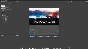 Windows 10 resize bug with PSP X8
