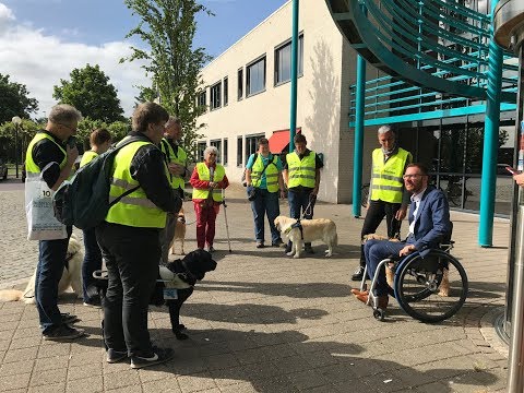 Toegankelijkheid assistentiehonden getest in Oude IJsselstreek