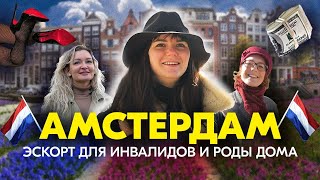 Половое воспитание в Нидерландах и отцовские декреты