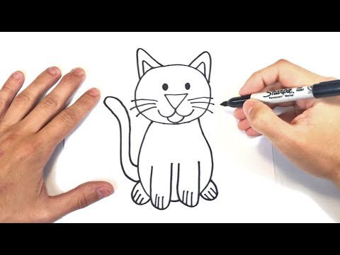 Video: Cómo Dibujar Un Gato Para Un Niño