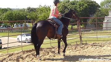 Tippin      ***For info, price, etc., go to our website*** Valley View Ranch