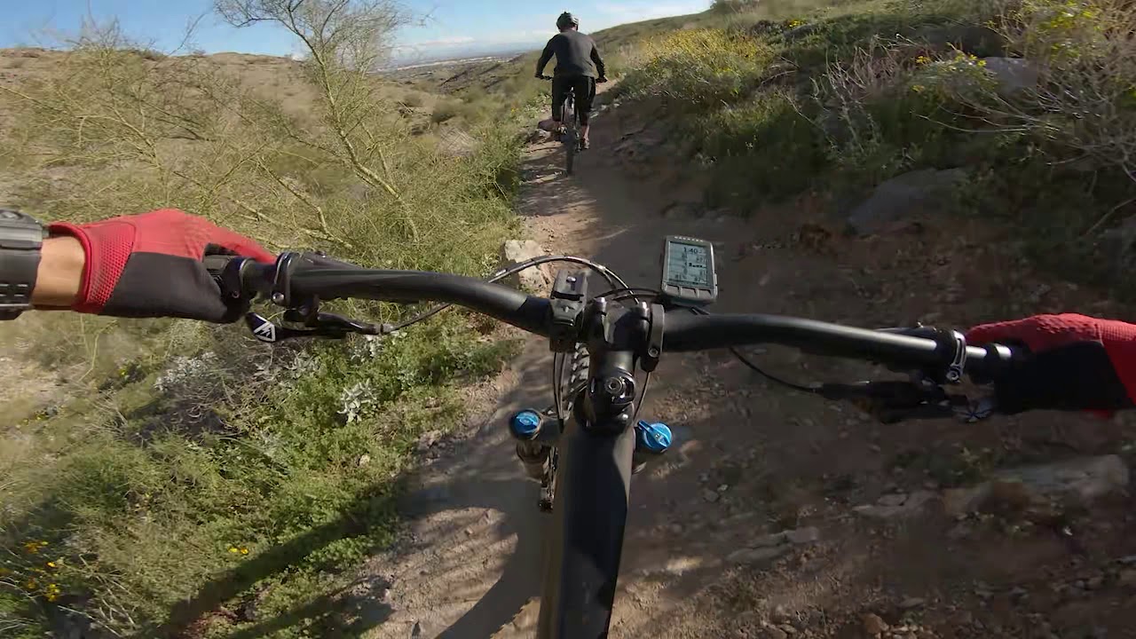 South Mountain - Javelina Downhill - 02/16/2019