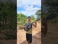 solo viral