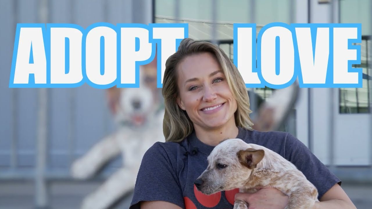 City of Fort Worth | Animal Care & Control