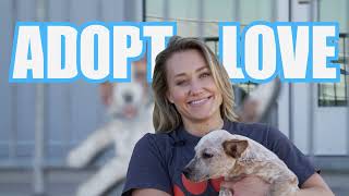 City of Fort Worth | Animal Care & Control