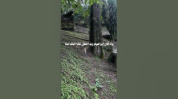 #سورة_إبراهيم آية 34-35 بصوت القارئ الشيخ #محمد_صديق_المنشاوي #قرأن #moa_quran #توبه #رحمه #مغفره