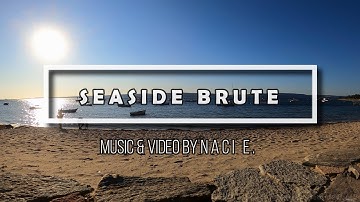 Naci E. - Seaside Brute | Arturia Minibrute 2 & tc electronic FLASHBACK 2 DELAY Jam