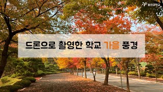 용인대학교 | 드론으로 촬영한 학교 가을 풍경 (Korean ver.)