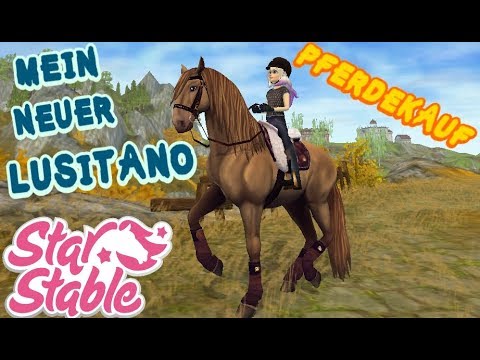 Star Stable【SSO】♥ Pferdekauf ♥ Mein neuer Lusitano! - YouTube