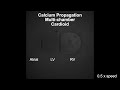 Calcium Multi-chamber Cardioid (Mendjan Lab, IMBA)