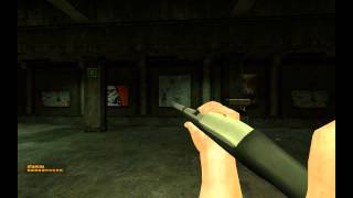 NMRiH Ruger 1022 Animation Demo