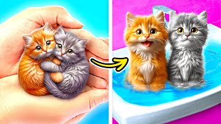 Save These Tiny Kittens! 😼😽 *Homeless Cat Makeover and Pet Owner Hacks*