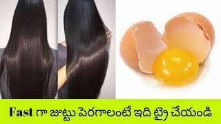 Benefits Of Applying Eggs On Hair  Egg Hair Masks  Feminain