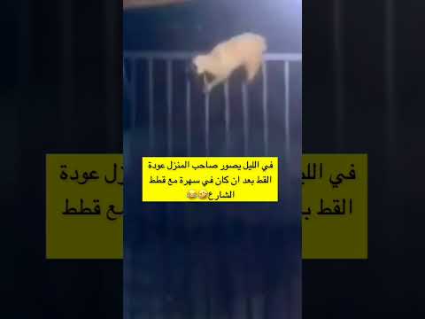 ولد اصول أغاني 2025 اكسبلور اغاني لايك كوميديات