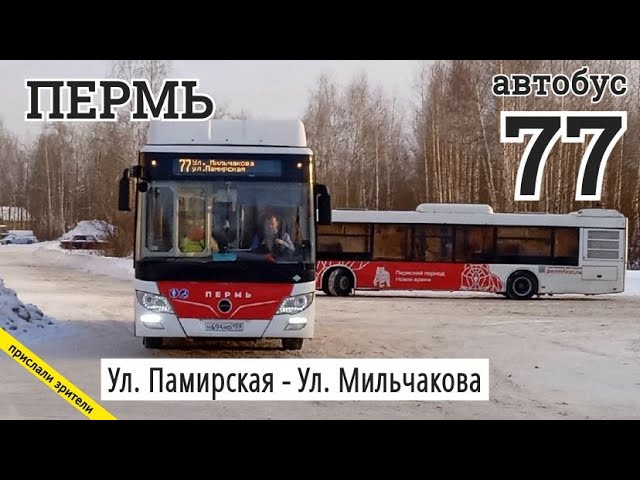 461 автобус пермь. 77 Автобус Пермь. Экскурсионный автобус Пермь. 115 Автобус Пермь. 120 Автобус Пермь.