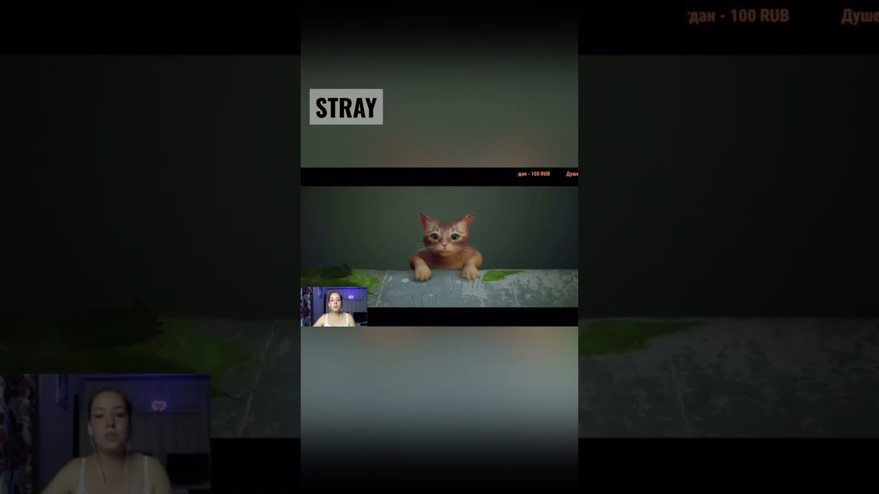 Stray - полное прохождение на канале ! 
