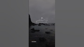 ويقولون متي هذا الوعد إن كنتم صادقين {القارئ عبد الرحمن مسعد}🖤