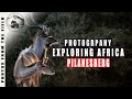 WILDLIFE PHOTOGRAPHY AT PILANESBERG GAME RESERVE SOUTH AFRICA