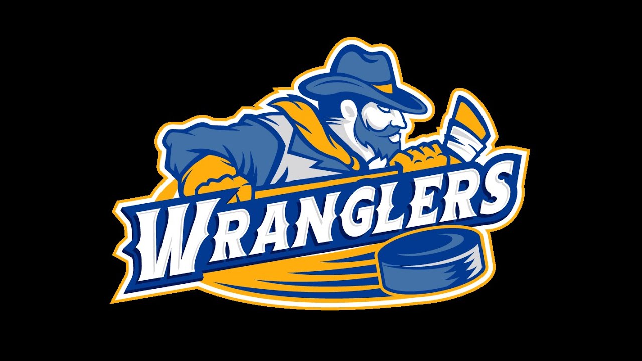 Video 2 - Defensive Zone Coverage (Basics)