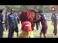 Sheera Steals the Spotlight 🦁🔥 Karachi Kings Mascot Goes Viral | A Sports