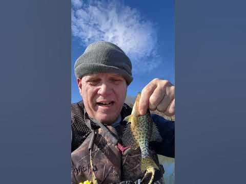  Small one - YouTube