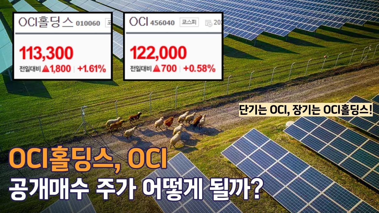 OCI, 인적분할 후 주가는 이렇게 대응하는게 좋다 (feat. OCI홀딩스) - YouTube