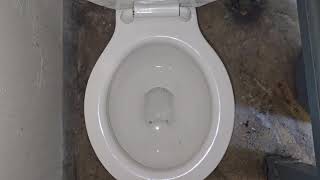 Very Rare Canadian 1956 Standard Nuclo toilet