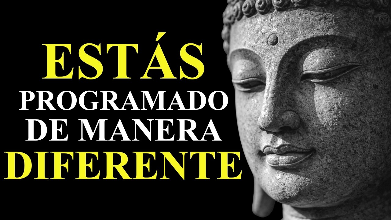 (SIN ANUNCIOS) “No Eres Demasiado Sensible — Eres Profundamente Consciente.” | Sabiduría Budista