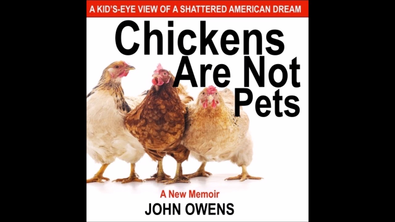 Chickens Are Not Pets Sample YouTube