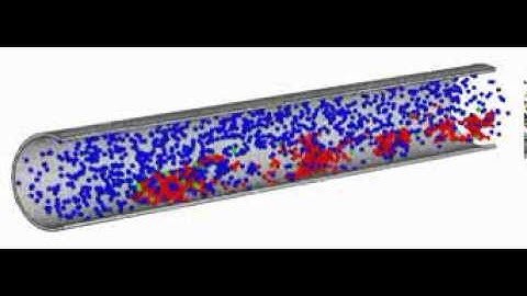Computer Simulation of Platelet Aggregation