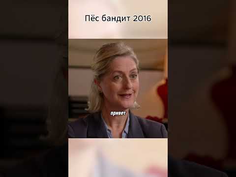 Хороший песик)) #фильм #кино