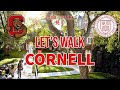 Cornell university   4k lets walk to north campus  ithaca ny