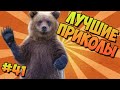 ЛУЧШИЕ ПРИКОЛЫ #41 БУРЫЕ МЕДВЕДИ