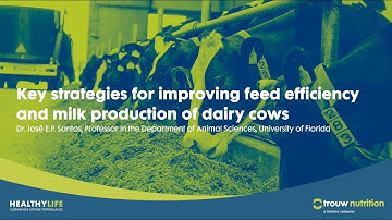 Key strategies for improving feed efficiency and milk production of dairy cows | HealthyLife
