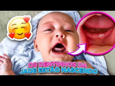 OS PRIMEIROS DENTINHOS DA JADE ESTÃO NASCENDO
