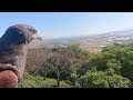 有明海が見えるてっぺんからの大冒険、カラスが寄ってくる川、国道、鉄道確認　ちゃんと戻る位置も分っているんですね　てっぺんタカ目線　第14弾　Hawk eyes camera