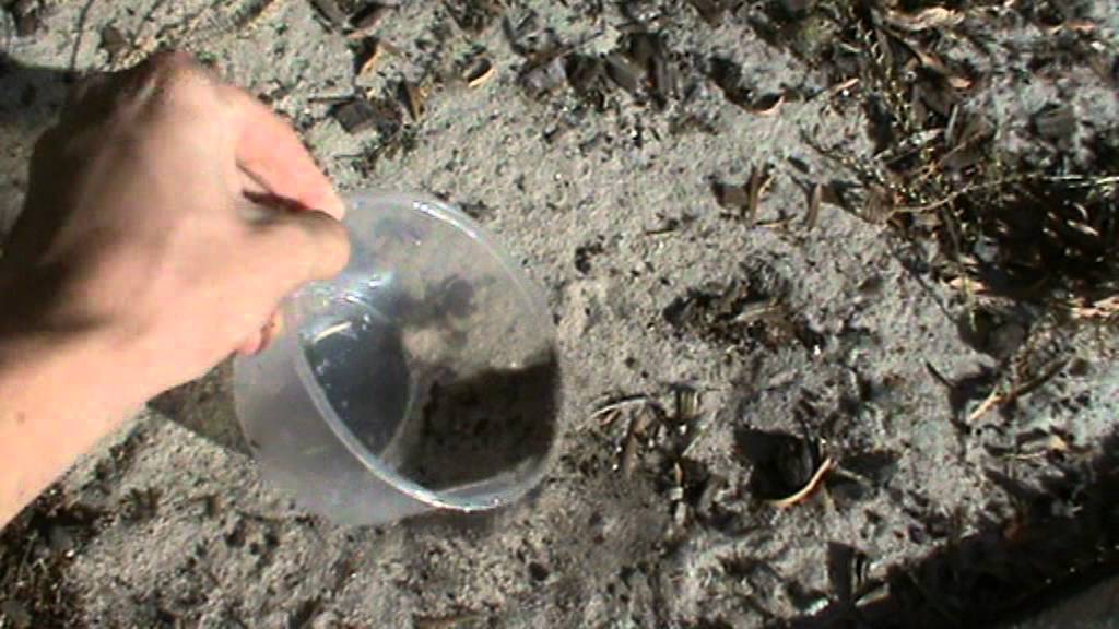 How To Fill up a Plastic Container with Sand